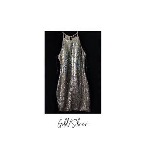 Gold/Silver Dress